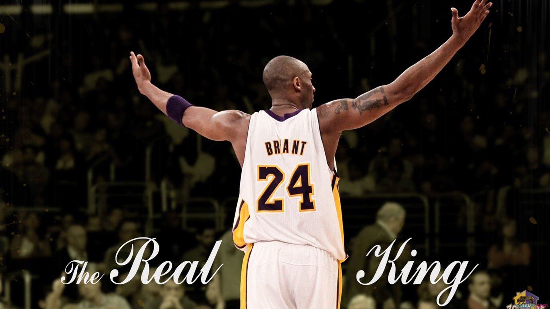 “运动舞蹈：舞者在金牛区城北体育馆将如何将力量与美学完美结合？”