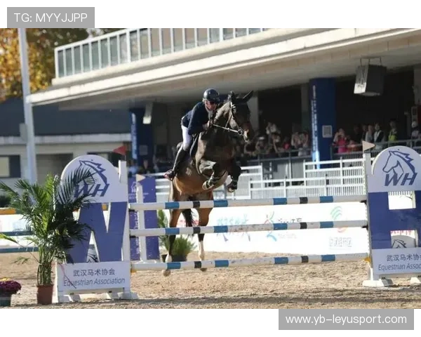 伊朗马术协会设立青少年马术奖学金，支持优秀学员发展。，伊朗田径马赛克