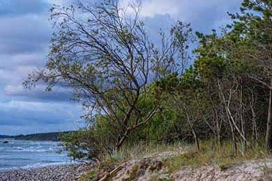 中超球队冬训计划公布着重攻防转换，中超冬歇期多长时间