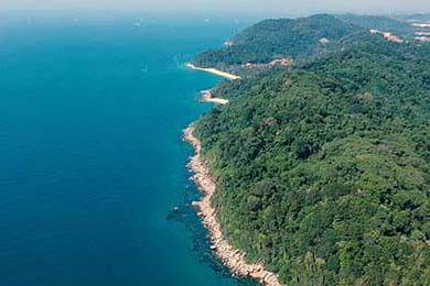 新疆男篮引进新外援提升锋线火力，新疆男篮的外援新情况